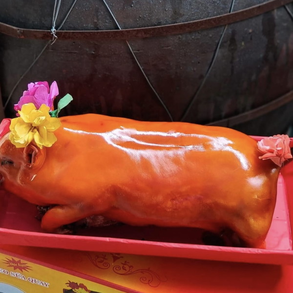 Heo Quay Sữa Nguyên Con 